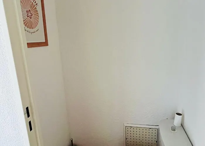 T2 ,4 Couchages ,climatise ,terrace ,en Face D'aqualand ,plage Rochelongue Apartment *